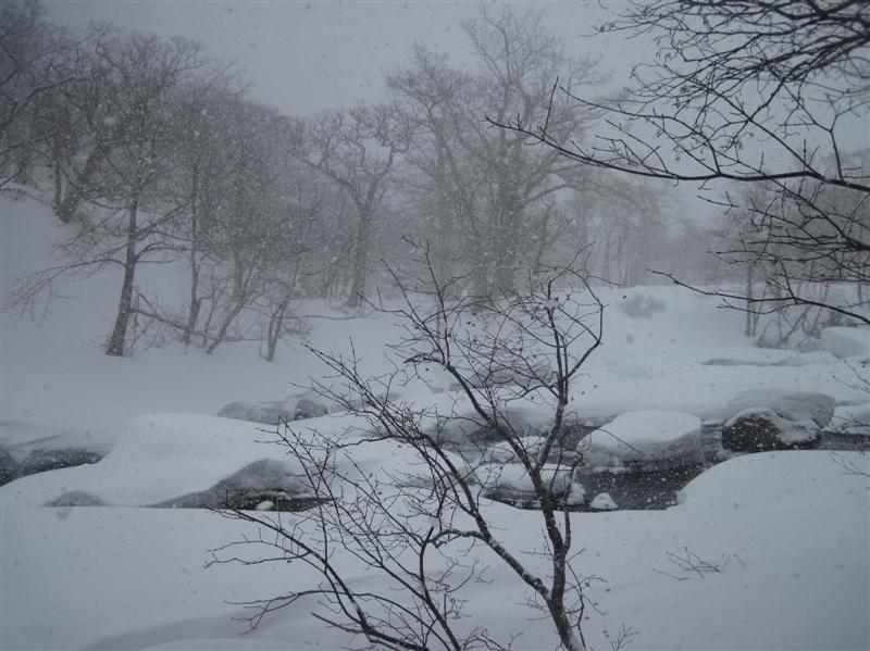 09 Снегопад.JPG