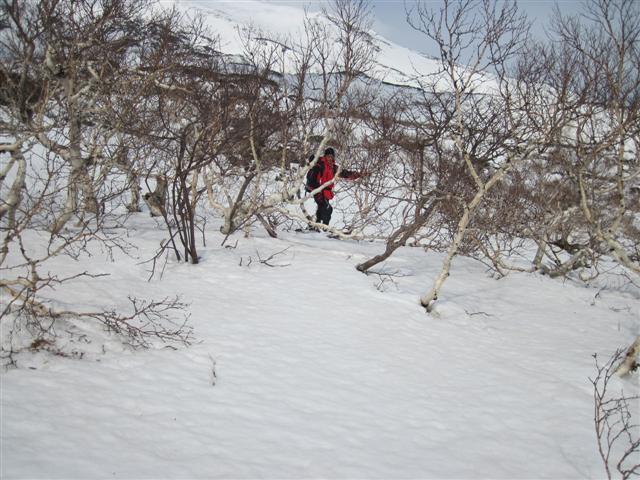 61 - Сноубордист в кустах.JPG