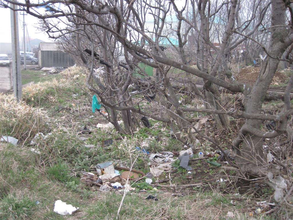 _Мусорка возле больницы.jpg