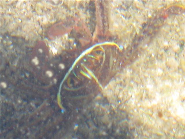 IMG_0123 (Small).JPG