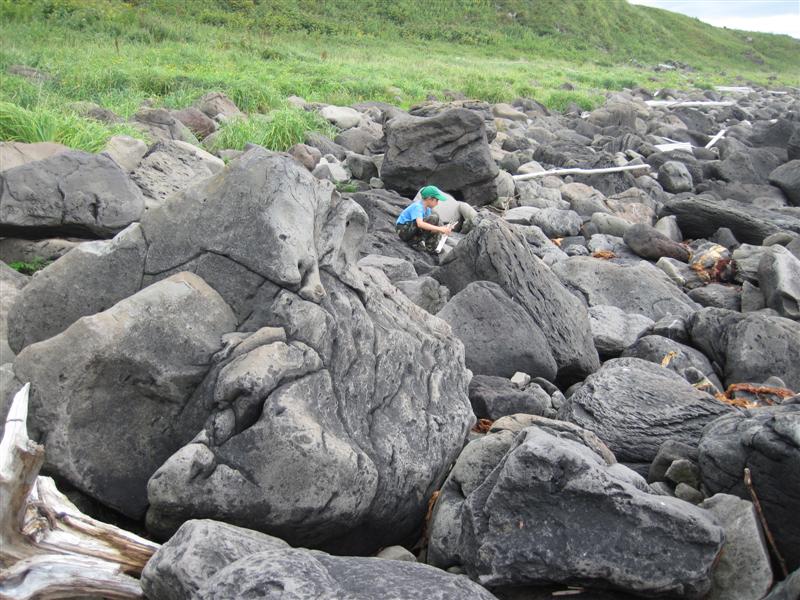 16 В камушках.JPG