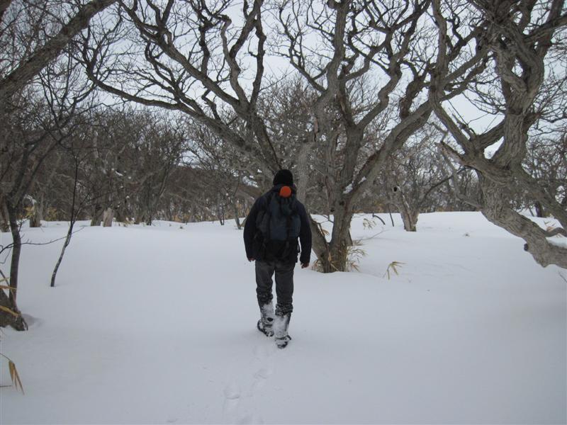 02 По лесу без лыж.JPG