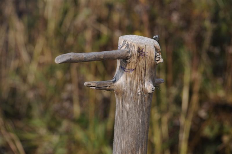 29 БуратинКо (фото Ofoto).JPG