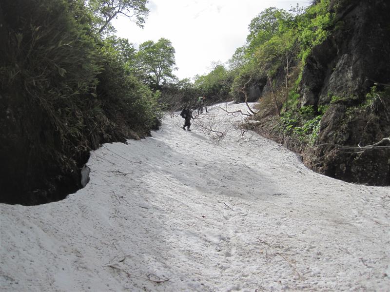 57 Снежник.JPG