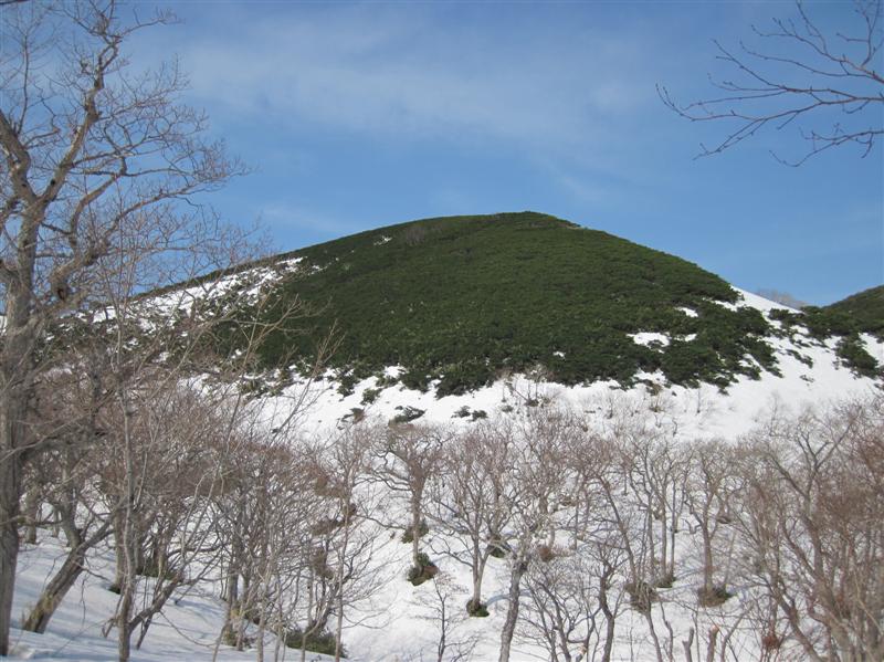 39 Зеленка.JPG