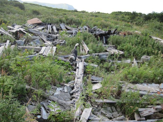 10 Тут был дом.jpg