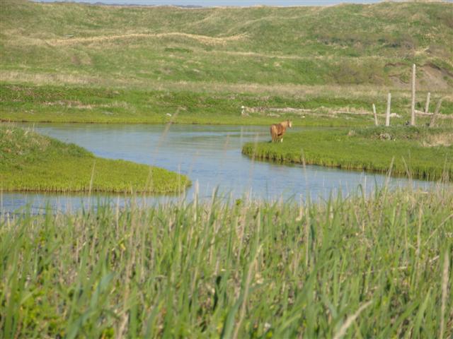 SNV10282 (Small).JPG