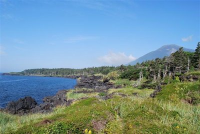 DSC_0153 (Small).JPG